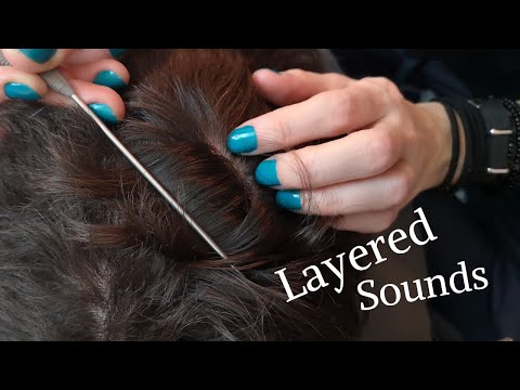 Real Person ASMR Dandruff Scratching and Scalp Check + Layered sounds 9.1