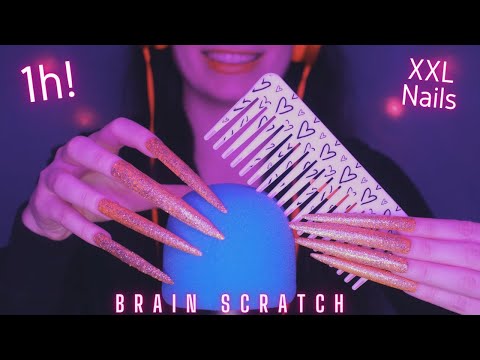 Asmr Mic Scratching , Brushing & Stroking | Brain Melting Asmr No Talking for Sleep - Long Nails 1H