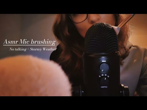 Asmr Mic Brushing ✨️ No Talking + Rainy Ambiance 💧