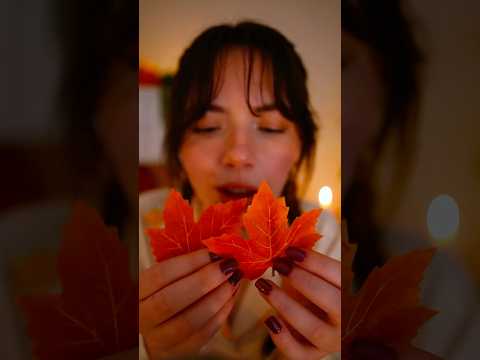 Cozy Autumn Spa 🍁🍂🧸🫖🍯 #asmr