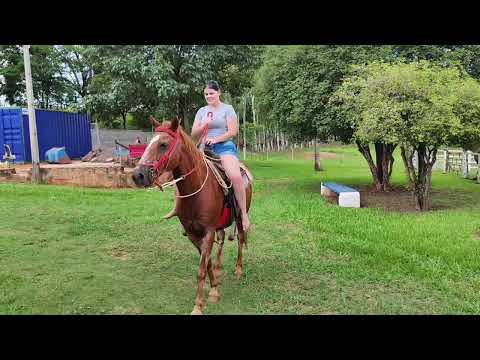 Compilado de vídeos na fazenda / ASMR Não Intencional ✨