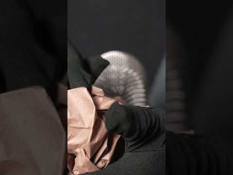 ASMR - Crinkly Paper  #asmr #gloves #sleepaid #triggers #tingles