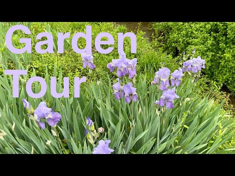 Garden Tour at my Dad’s Farm ~ Outdoor ASMR in Nature with a Babbling Brook and Birds