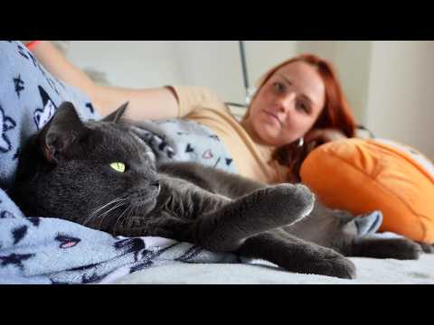 ASMR Quiet Time with My Cat 🐈 | No Talking
