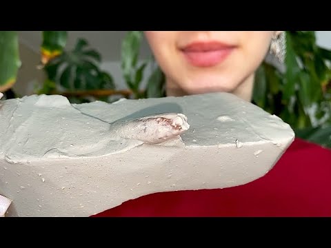 Сластена с белемнитом🦑Вода из Голубой Узбекской/ASMR