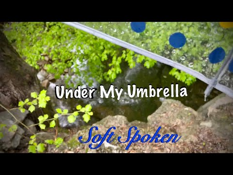 ASMR Rain on plastic umbrella (Soft Spoken) Nature walk/ Running water/ No-talking version tomorrow.