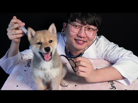 ASMR🐶 Animal Hospital (with SHIBA)