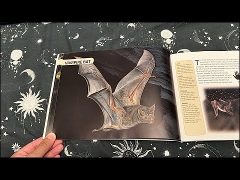 ASMR: Night Creatures (interesting book tour)