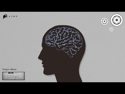 𝗔𝗦𝗠𝗥  팅글 수면 연구소