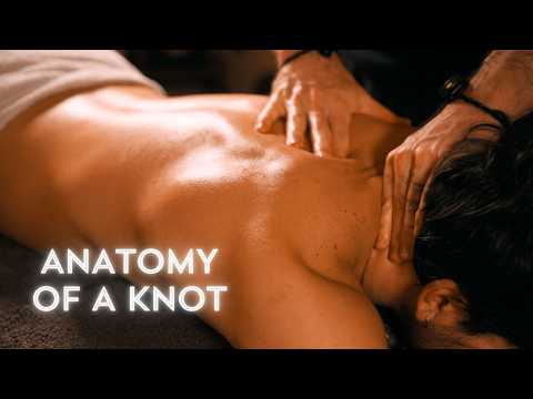 Why You Can't Relax: Fixing a Tense Back & Neck (Scientific ASMR)