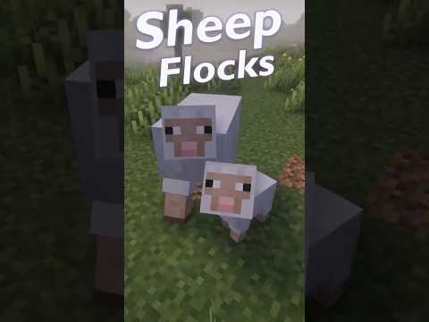 Flock Behavior in Minecraft Sheep 🐑 #minecraft #asmr