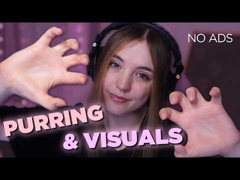 ASMR 💕 Soft Purring & Visual triggers 💕 NO ADS 💕 1 HOUR