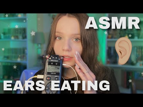 ASMR Intense Ears Eating 🥢 Tascam Mouth Sounds & Kisses 