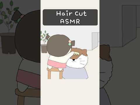 ASMR Hair Cut | hair salon #asmr #hair #cat