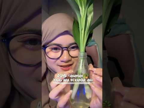 ASMR dengan yang ijo ijo #asmrvideo #asmr