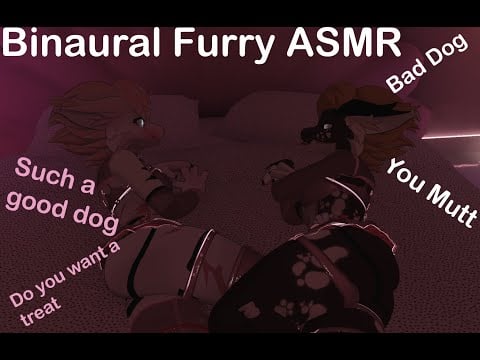 Binaural Furry ASMR