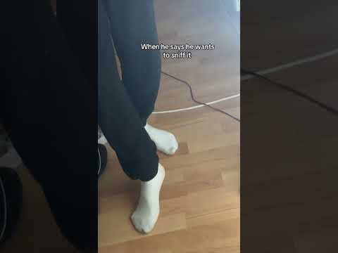 Check out my latest video