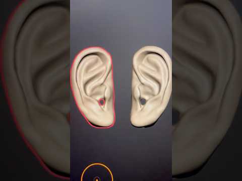I Sculpted Realistic EARS for ASMR… (3D Printing Next 👀)
