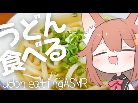 【咀嚼音ASMR】うどん食べる＆おなかの音 ワンタンキャベツ卵うどん eating sound/udon