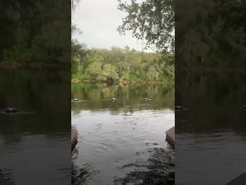 Paddle Boarding on the Spring for more Relaxation!!!