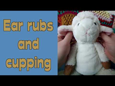 Goat ear rubs and cupping (with barely audible whispering)(fixed audio)