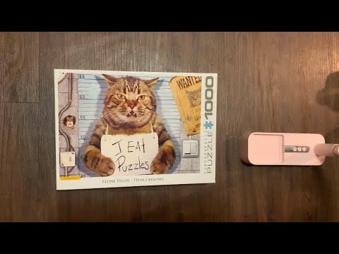 ASMR Starting A 1,000 Piece Cat Puzzle