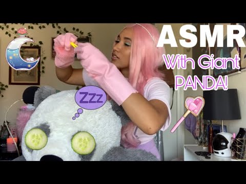 ASMR | 🐼 Pampering Giant Panda To Sleep! | scratch sounds + soft brushing + glove sounds