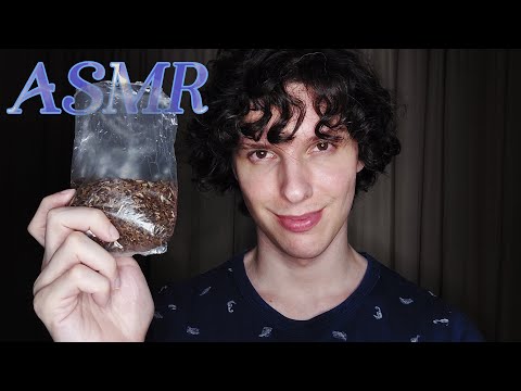 ASMR nice wizard wants to sell you crinkly tea 🍵