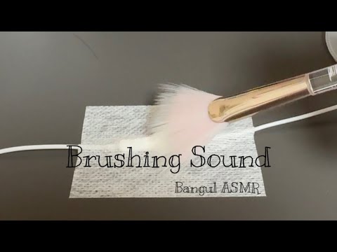 ASMR 이어폰 마이크에 거칠게 브러싱