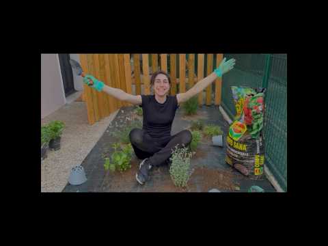 Rilassati mente mi guardi fare giardinaggio🪴❤️ guarda il video completo sul canale #asmr #gardening