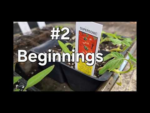 Garden 26 April Beginnings
