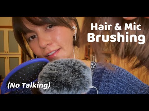 ASMR Hair & Mic Brushing (No Talking)