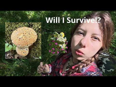 ASMR in Forest 🍄 (mushrooms, mud, mosquitoes)🦟