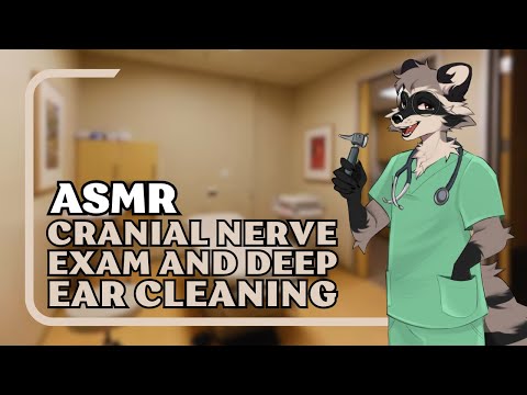 [Furry ASMR] Cranial Nerve Exam and Ear Cleaning | Personal Attention, Keyboard Typing, Mouth Sounds
