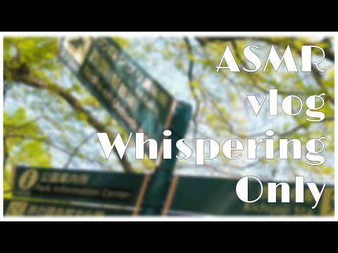 ASMR Vlog Whispering Only / No BGM