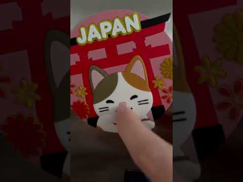 ASMR magnet #asmr #lofiasmr