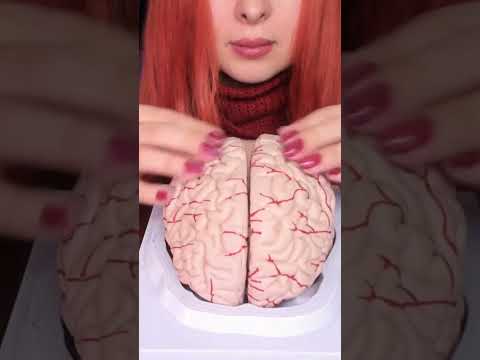 ASMR Most Tingly Brain Massage Ever (No Talking) #shorts