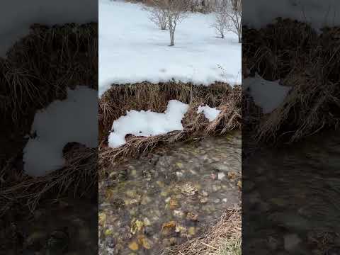 The sound of snow melting
