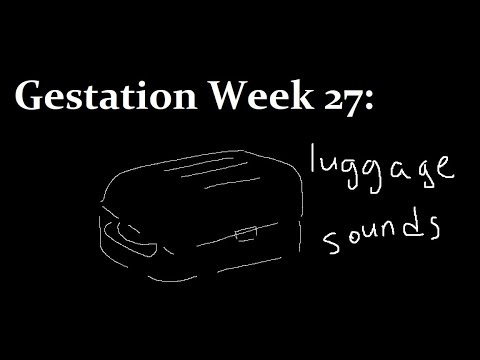 "ASMR" "Roleplay": You and Your Twin Listen to the Sound of Unpacking on the 27th Week in the Womb