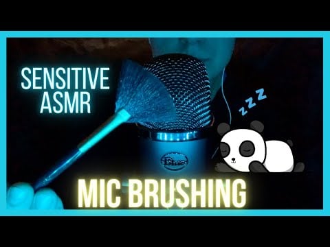 ASMR - Sensitive MIC Brushing 🖌️ (Brain Tingles, Blue Yeti X, Relaxing Sounds)