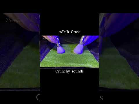 ASMR Crunchy sounds of Grass for Sleep🫶 #relaxing #asmr #shorts