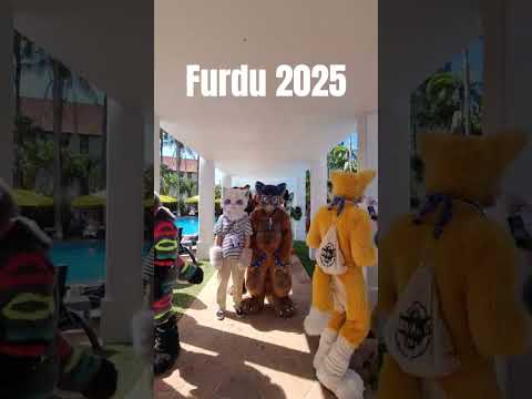 standing still @ Furdu #furdu2025