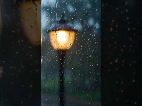 RAIN SOUNDS RELAXATION WITHOUT STORM ☔🌧️💧 MEDITATION
