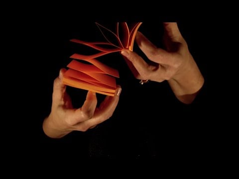 ASMR 11 Echoed Triggers | Whispering, Hand Sounds, & More