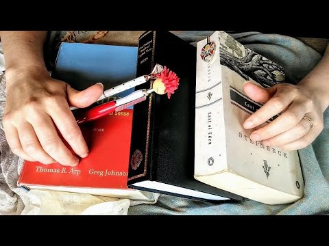 ASMR w/ BIG BOOKS {Soft Spoken, Tapping, Scratching, Tracing, Rambling}