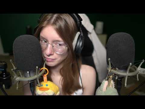 Clicky Whispers ASMR Counting YOU to Sleep