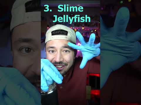 🪸✨ TINGLIEST JELLYFISH ASMR VIDEO EVER! 💥