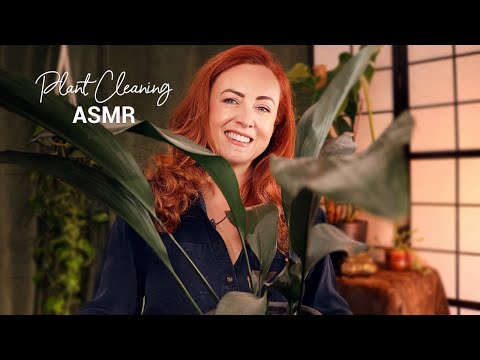 ASMR Plant Cleaning 🪴 Relaxing Pottering & Chatting