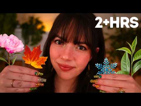 ASMR The Seasons Pamper You to Sleep 🌸🌿🍁❄️ (2.5HR ASMR Compilation)