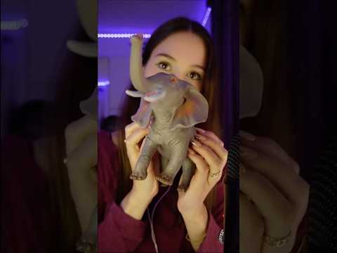 Un tapping des plus satisfaisants 🐘✨ #asmr #asmrtapping #tappingsounds #elephant #satisfyingsounds